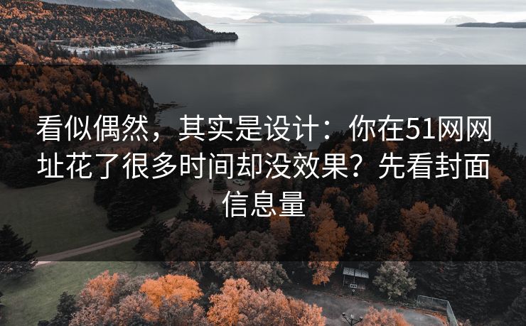 看似偶然，其实是设计：你在51网网址花了很多时间却没效果？先看封面信息量